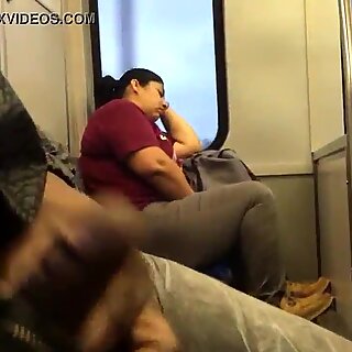 Train Chronicles